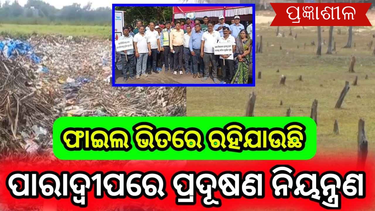 ପାରାଦ୍ଵୀପରେ ପ୍ରଦୂଷଣ ନିୟନ୍ତ୍ରଣ ପାଲଟିଛି ପ୍ରହସନ