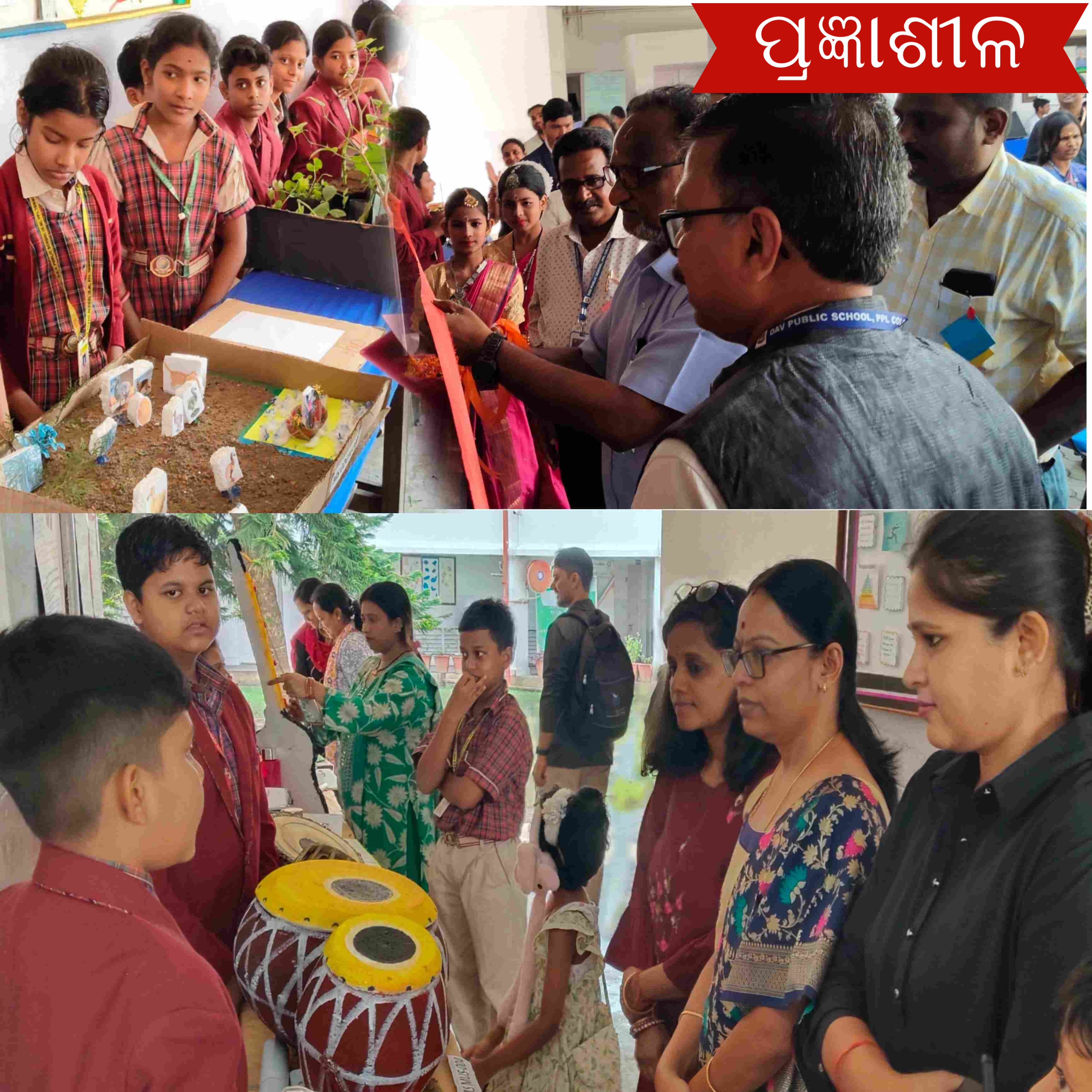 ପିପିଏଲ ଡିଏଭି ପବ୍ଲିକ ସ୍କୁଲରେ ବାର୍ଷିକ ପ୍ରଦର୍ଶନୀ