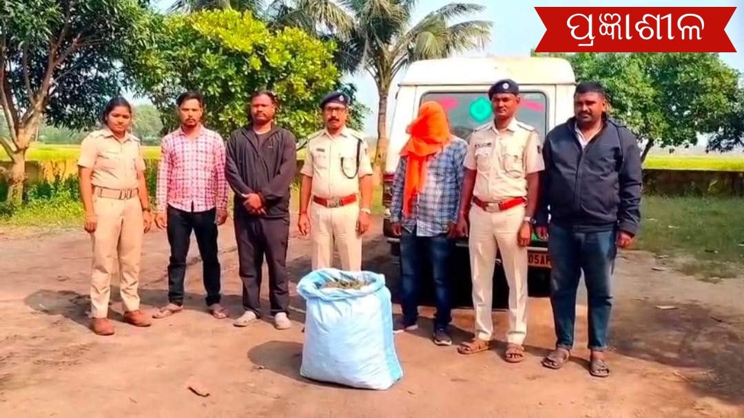 ବସ୍ତାରେ ଗଞ୍ଜେଇ ନେଲା ବେଳେ ମାଡ଼ିବସିଲେ ଅବକାରୀ ବିଭାଗ ଅଧିକାରୀ ।