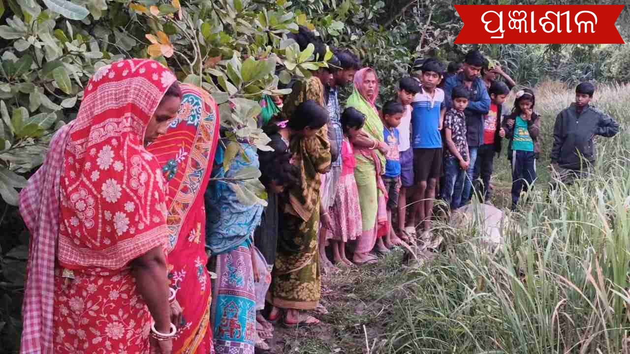 ଜଙ୍ଗଲୀ ଜନ୍ତୁଙ୍କ ପାଇଁ ବିଛାଇଥିବା ବିଦ୍ୟୁତ ତାରରେ ଗାଈ ମୃତ ।