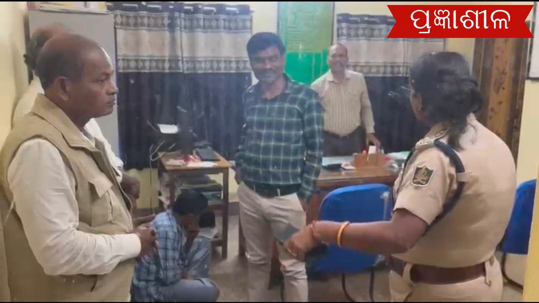 ବଜ୍ରକାପ୍ତା କାତି ଡିଲ୍ ବେଳେ ମାଡି ବସିଲା ବନବିଭାଗ ।